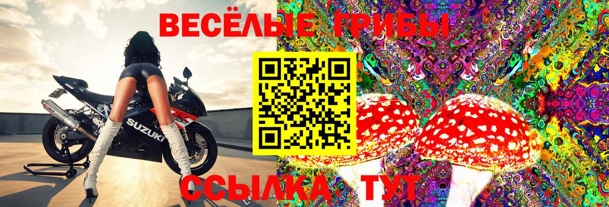 Галлюциногенные грибы Psilocybe  Псилоцибиновые грибы MAGIC MUSHROOMS  Канаш  Вход с VPN 